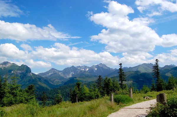 Sentier de montagne à l'arrière-plan des montagnes Tatra — Photo