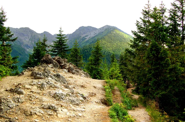 山丘の上の岩の歩道 — ストック写真