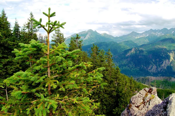 Hermoso paisaje de montaña con vistas al valle profundo — Foto de Stock