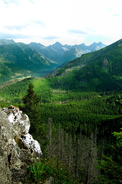 Pięknej górskiej z widokiem na doliny głębokie — Zdjęcie stockowe