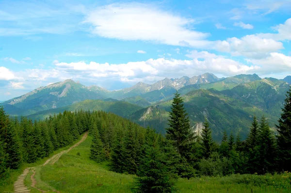 Sentier de montagne au bord de la forêt — Photo