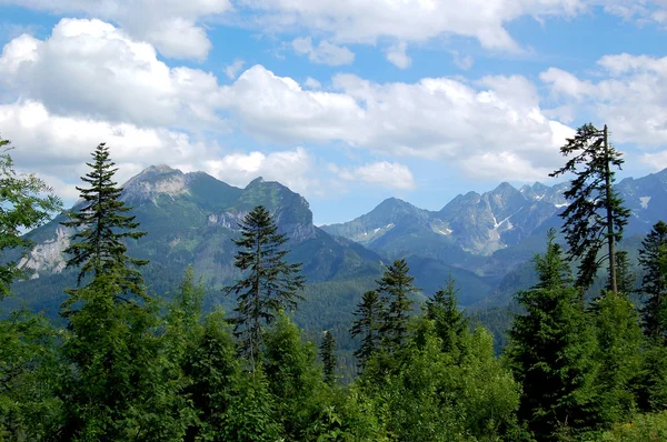 休日の日に美しい日当たりの良い山の風景 — ストック写真