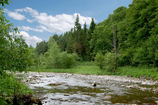 The picturesque mountain river valley surrounded by forest — Stock Photo, Image