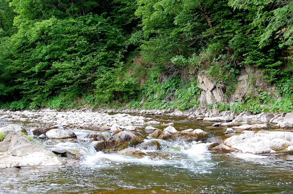 Small waterfalls on a mountain  rocky river — Stock Photo, Image