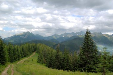 Ormanın ortasında dağ iz