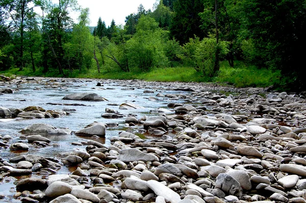 Quiet  rocky mountain river on the border of the forest — Stock Photo, Image