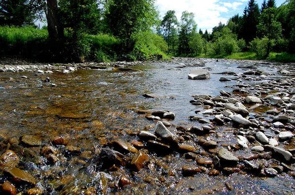 Rocky River traversant une clairière forestière — Photo