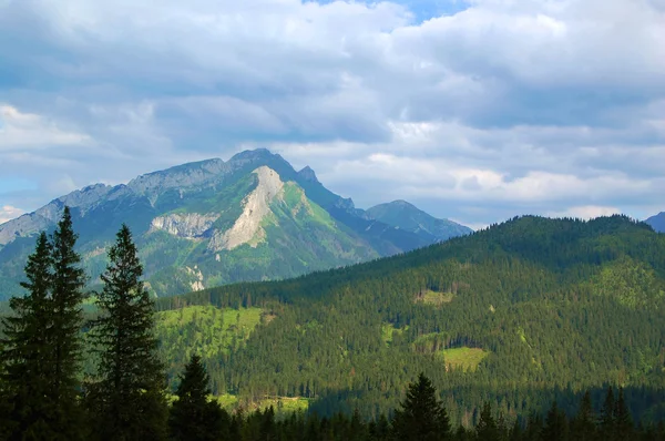 休日の日に美しい日当たりの良い山の風景 — ストック写真