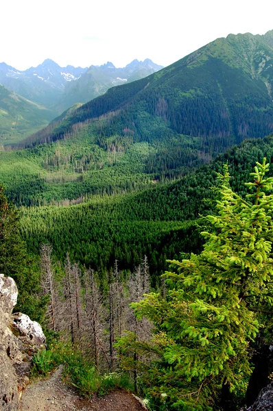 Prachtige berglandschap met uitzicht op de diepe vallei — Stockfoto