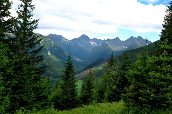 美しいおとぎ話と美しい山 landscap — ストック写真