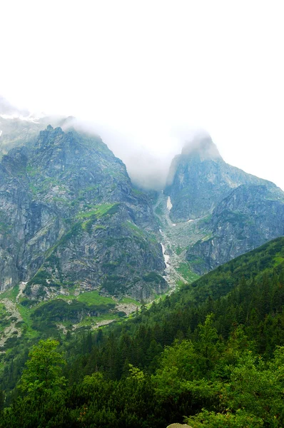 Magnifiquement éclairé sur les pentes de montagne dans le jour des fêtes — Photo