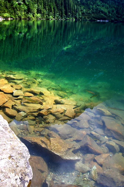 Schönes klares Wasser in einem Bergsee — Stockfoto