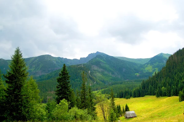 Cabaña solitaria en un prado de montaña —  Fotos de Stock