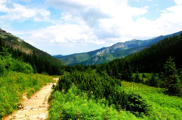 Sentier de montagne pittoresque avec de beaux paysages — Photo