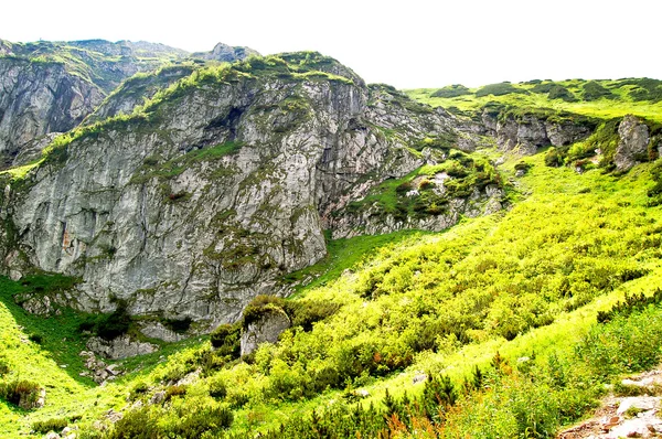 Sziklás hegy lejtőjén fűvel borított — Stock Fotó