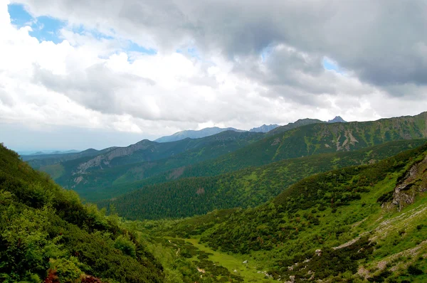 Gran valle verde sobre un fondo de montañas —  Fotos de Stock