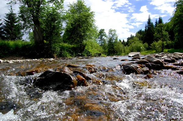 Rocky River crossing a forest glade — Stock Photo, Image