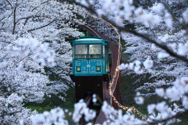 Demiryolu Heaven, Funaoka Park, Osaka, Japonya
