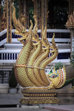 Büyük yılan kovucu