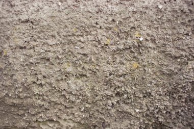 eski dekoratif duvar sıva