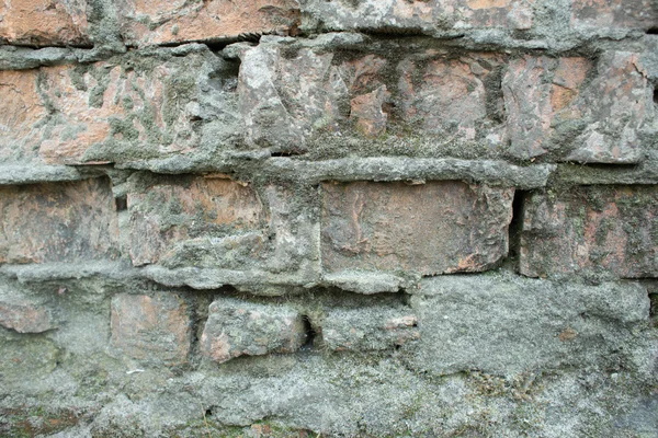 Textura de pared — Foto de Stock