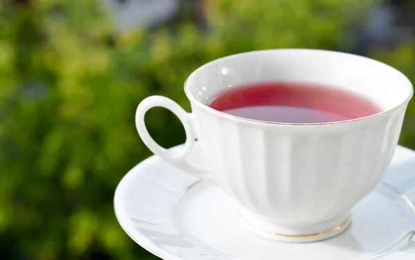 Taza de té y una vista — Foto de Stock
