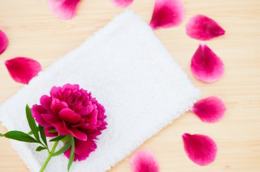 Çiçek yaprakları spa sakin ol