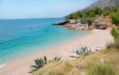 Egzotik bitki örtüsü ile güzel boş plaj