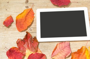 Beyaz dijital tablet ve ahşap arka plan üzerinde sonbahar yaprakları