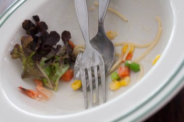 Kırıntıları kullanılan çatal ve kaşık plaka