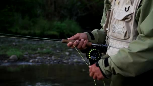 Pesca a mosca yeso — Vídeos de Stock