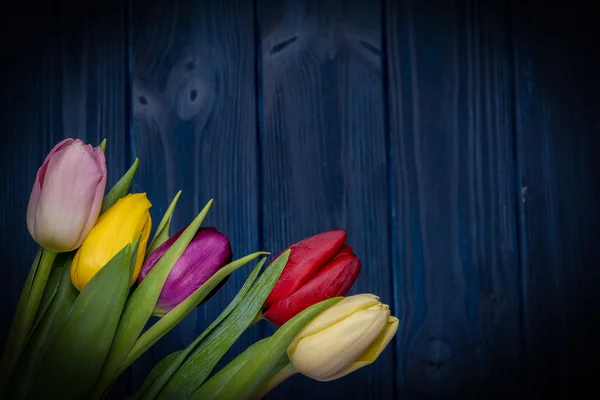 Ramo de flores de tulipán — Foto de Stock