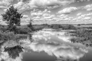 Nehir, ağaçlar ve bulutlar gökyüzünde manzara.