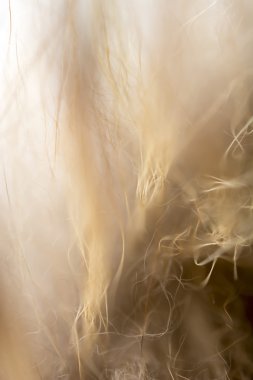 kürk doku arka plan