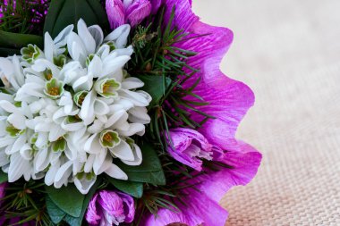 Kardelen çiçek buketi çam çırpı ile