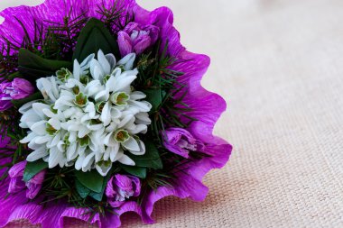 Kardelen çiçek buketi çam çırpı ile