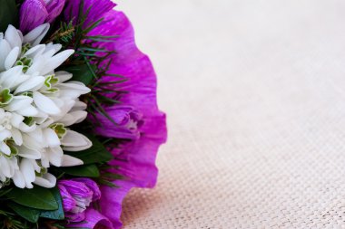 Kardelen çiçek buketi çam çırpı ile