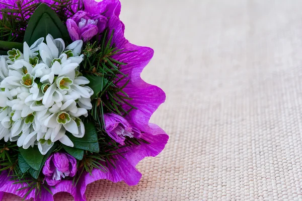 Bouquet de fleurs goutte de neige avec brindilles de sapin — Photo