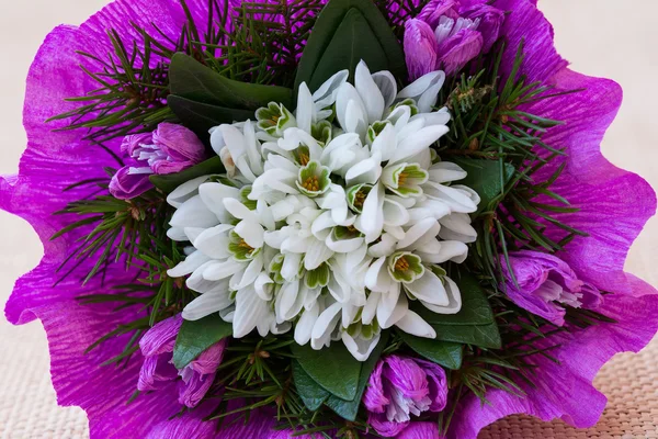 Bouquet de fleurs goutte de neige avec brindilles de sapin — Photo