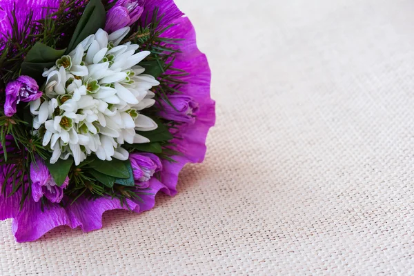 Bouquet de fleurs goutte de neige avec brindilles de sapin — Photo