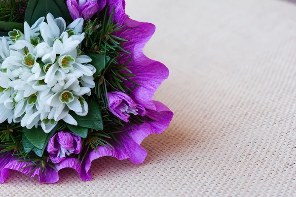Bouquet de fleurs goutte de neige avec brindilles de sapin — Photo