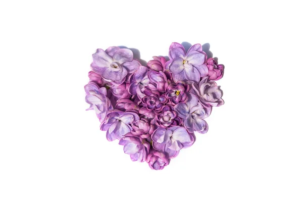 लिलाक फुले हृदय वेगळे. पांढरा पार्श्वभूमी — स्टॉक फोटो, इमेज