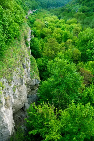 Kamyanets-Podilskyi görünümünde Kanyon — Stok fotoğraf