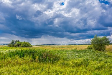 Güneşli manzara rüzgarlı ve fırtınalı bulutlar yağmur