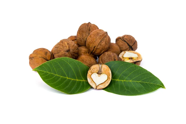 Орехи с изолированными листьями — стоковое фото