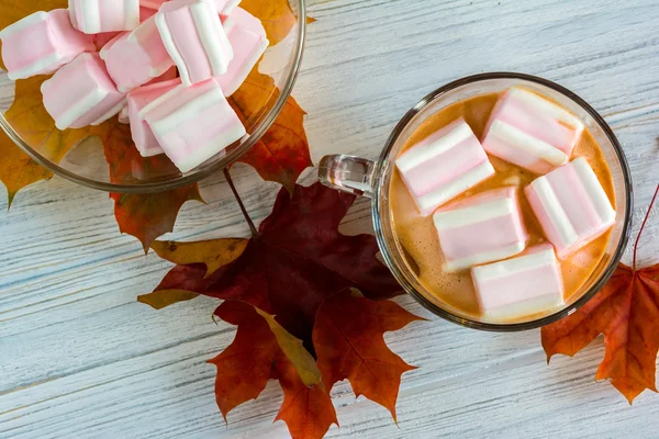 Cacao and marshmallows on wooden background — Stock Photo, Image