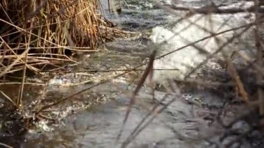 Taşlar ve kuru sazlar arasında hızlı akan su görünümünü