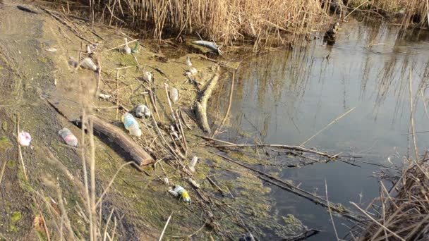 Déchets contaminés — Video