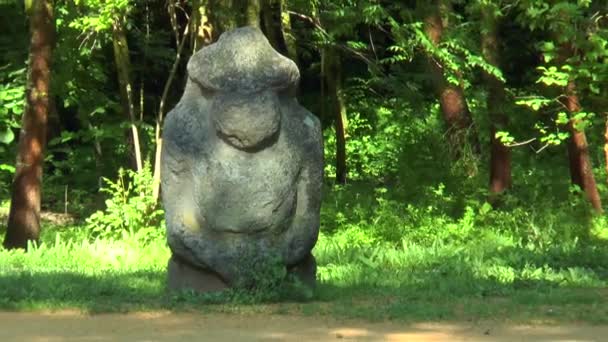 Stone images - Scythian statue. In the woods on a background of  trees — Stock Video