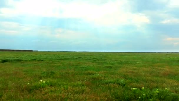 Landschap voorjaar steppe — Stockvideo